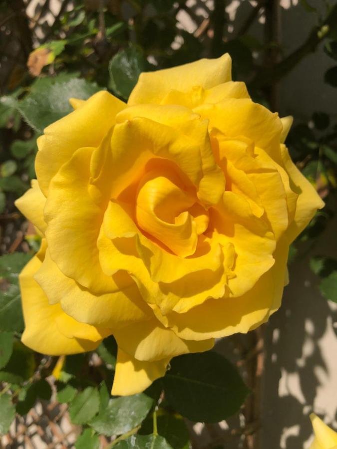 Le Chai De La Rose Spa Et Seances Bien Etre Дуэ-ла-Фонтен Экстерьер фото